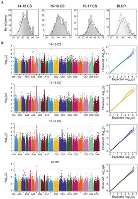 Genome-Wide Association Analysis Combined With Quantitative Trait Loci Mapping and Dynamic Transcriptome Unveil the Genetic Control of Seed Oil Content in Brassica napus L.